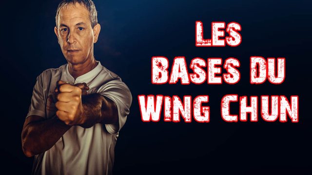 Formation Wing Chun – Apprenez l’art martial ancestral depuis chez vous !